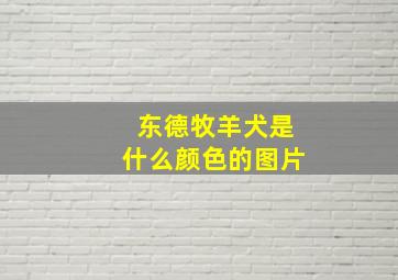 东德牧羊犬是什么颜色的图片