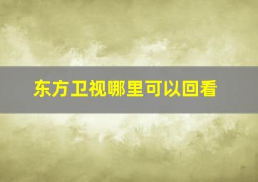 东方卫视哪里可以回看