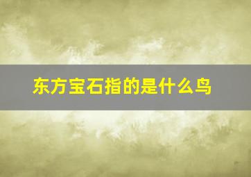 东方宝石指的是什么鸟