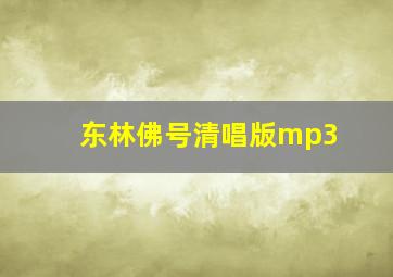 东林佛号清唱版mp3