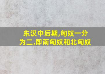 东汉中后期,匈奴一分为二,即南匈奴和北匈奴