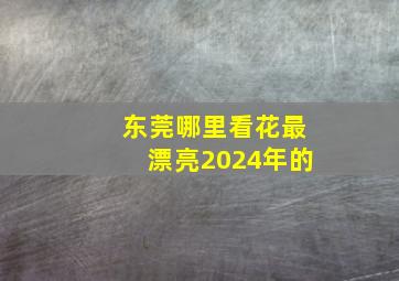 东莞哪里看花最漂亮2024年的