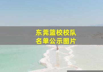 东莞篮校校队名单公示图片