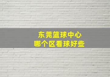 东莞篮球中心哪个区看球好些