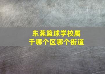 东莞篮球学校属于哪个区哪个街道