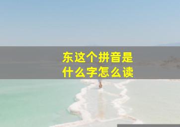 东这个拼音是什么字怎么读