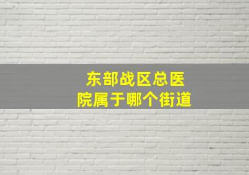 东部战区总医院属于哪个街道