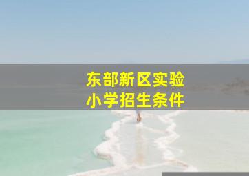 东部新区实验小学招生条件