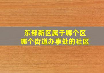 东部新区属于哪个区哪个街道办事处的社区