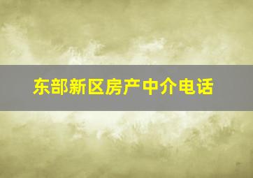 东部新区房产中介电话