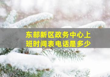 东部新区政务中心上班时间表电话是多少