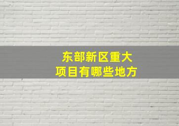 东部新区重大项目有哪些地方