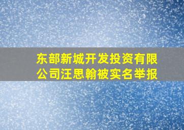 东部新城开发投资有限公司汪思翰被实名举报