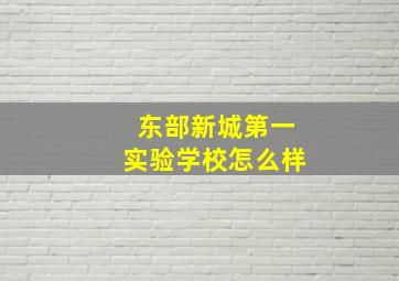 东部新城第一实验学校怎么样