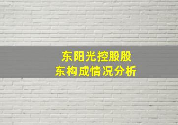 东阳光控股股东构成情况分析