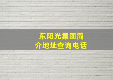 东阳光集团简介地址查询电话