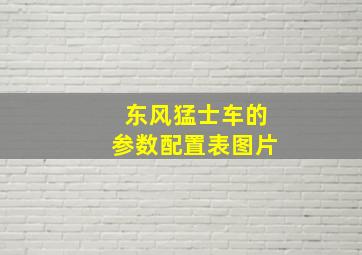 东风猛士车的参数配置表图片