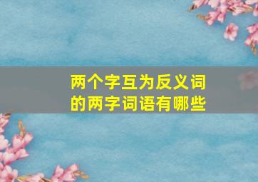 两个字互为反义词的两字词语有哪些