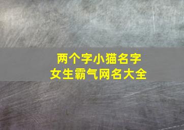 两个字小猫名字女生霸气网名大全