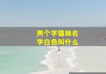 两个字猫咪名字白色叫什么