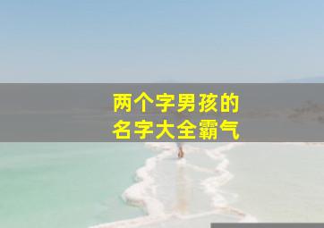 两个字男孩的名字大全霸气