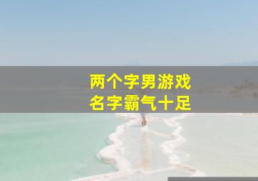 两个字男游戏名字霸气十足