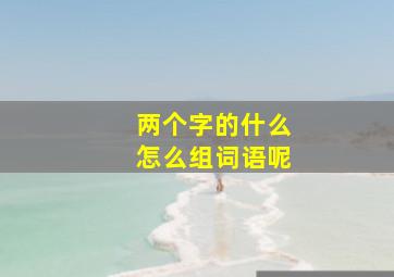 两个字的什么怎么组词语呢