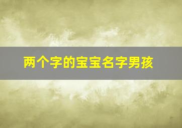 两个字的宝宝名字男孩