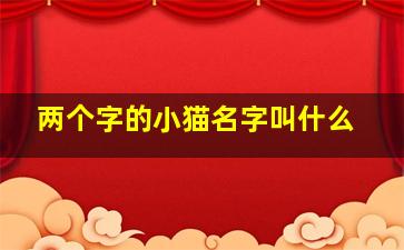 两个字的小猫名字叫什么