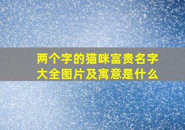 两个字的猫咪富贵名字大全图片及寓意是什么