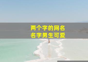 两个字的网名名字男生可爱