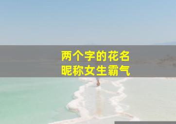 两个字的花名昵称女生霸气