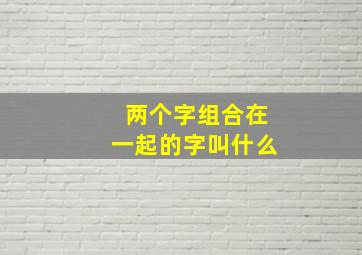 两个字组合在一起的字叫什么