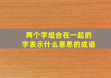 两个字组合在一起的字表示什么意思的成语