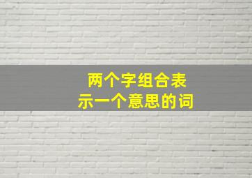 两个字组合表示一个意思的词