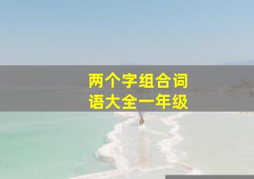 两个字组合词语大全一年级