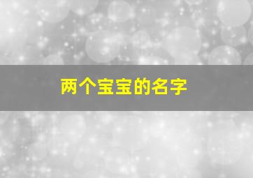 两个宝宝的名字