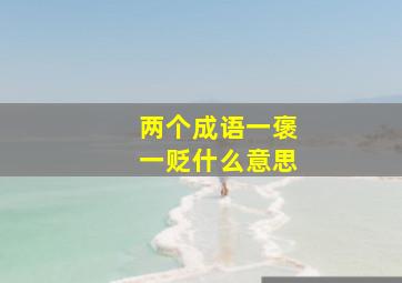 两个成语一褒一贬什么意思