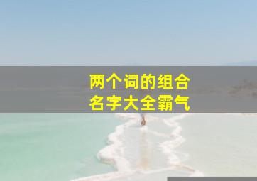 两个词的组合名字大全霸气