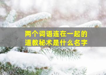 两个词语连在一起的道教秘术是什么名字