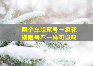 两个车牌尾号一组轮换限号不一样可以吗