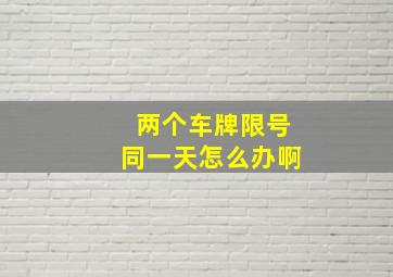 两个车牌限号同一天怎么办啊