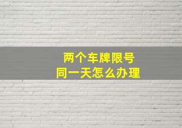 两个车牌限号同一天怎么办理