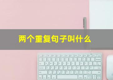 两个重复句子叫什么