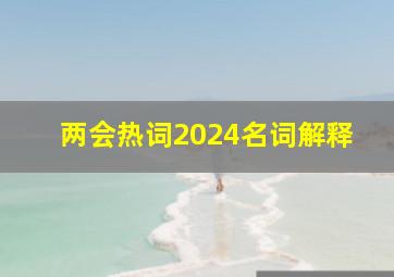 两会热词2024名词解释