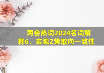 两会热词2024名词解释6、宏观Z策取向一致性