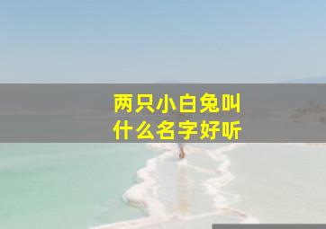 两只小白兔叫什么名字好听