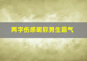 两字伤感昵称男生霸气