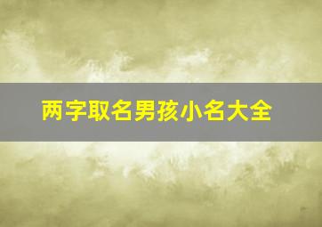 两字取名男孩小名大全