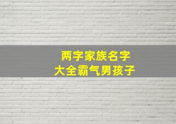 两字家族名字大全霸气男孩子